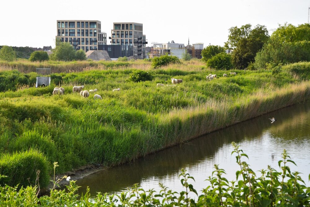 Suikerpark Veurne een realisatie in samenwerking met WVI